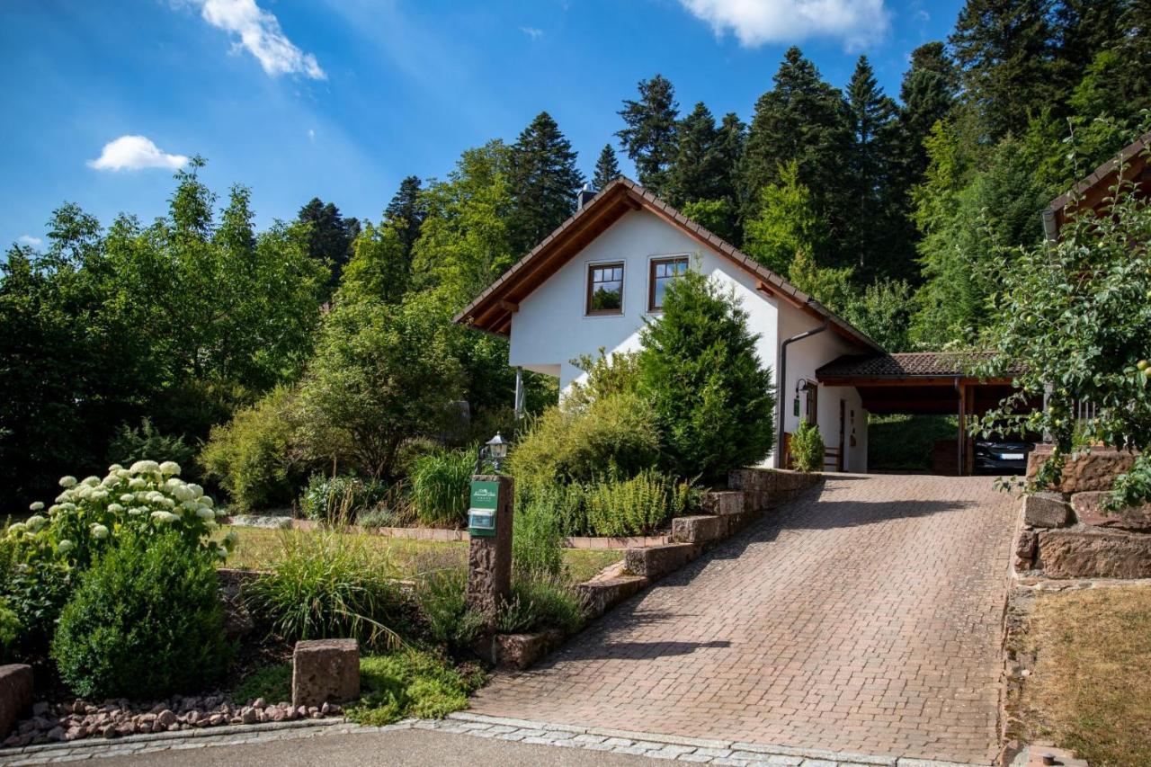 Schwarzwald Chalets ฟรอยเดนชตัดท์ ภายนอก รูปภาพ